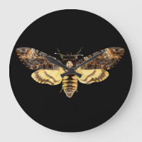 african death head moth butterfly insect Acheronti