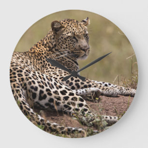 Grande Horloge Ronde Afrique, Tanzanie, Serengeti. Léopard