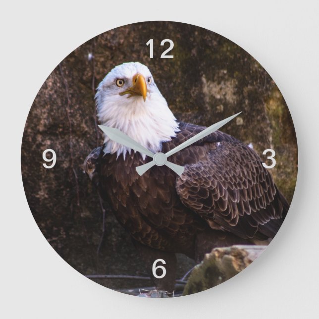 Grande Horloge Ronde Aigle de Bald (Recto)
