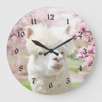 Alpaca blanc