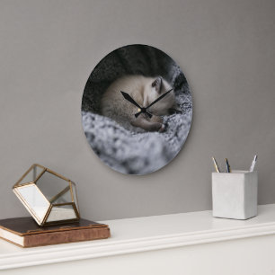 Grande Horloge Ronde Animaux de bébés cutest Tiny Kitten Dormir