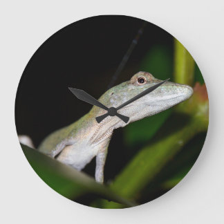 Grande Horloge Ronde Anolis occultus