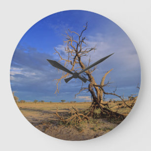 Grande Horloge Ronde Arbre de Chameau Mort (Acacia Erioloba)