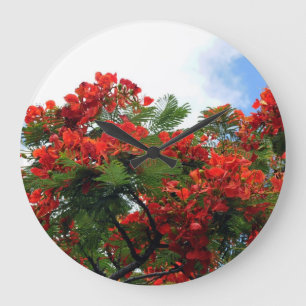 Grande Horloge Ronde Arbre fleurissant royal hawaïen de Poinciana