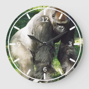 Grande Horloge Ronde Argent Mâle Gorille Lowland debout
