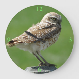 Grande Horloge Ronde B56 Chouette bractée