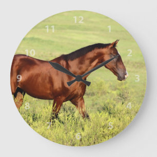 Grande Horloge Ronde Beau cheval de Bay