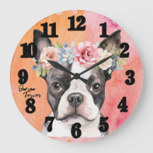 Beau chien de Boston Terrier
