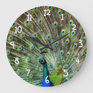 Grande Horloge Ronde Beau paon