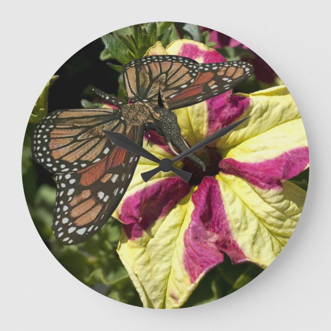 Grande Horloge Ronde Beau papillon éléphant (Recto)