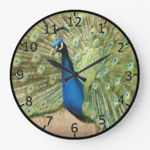 Beau Peacock