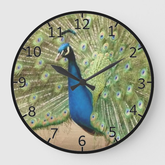 Grande Horloge Ronde Beau Peacock (Recto)