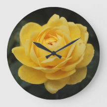 Beau rose jaune