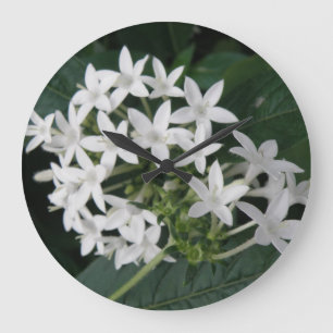 Grande Horloge Ronde Beautiful White Tropical Flowers Wall Clock