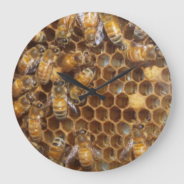 Grande Horloge Ronde Bee Hive (Recto)