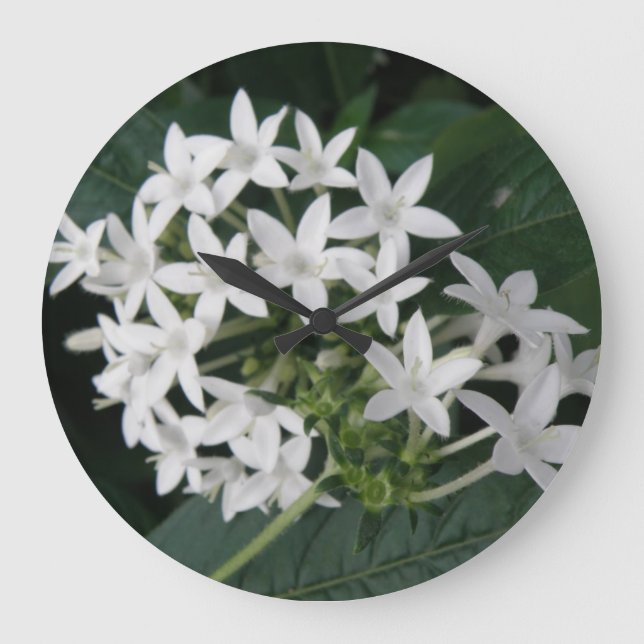 Grande Horloge Ronde Belle cadenas blanc Tropical Flowers (Recto)