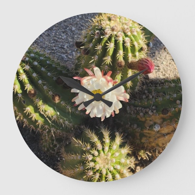 Grande Horloge Ronde Belle Fleur de Cactus (Recto)