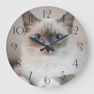 Grande Horloge Ronde Bleu ‎ Ragdoll