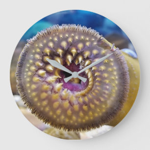 Grande Horloge Ronde Bouche de lamproie marine