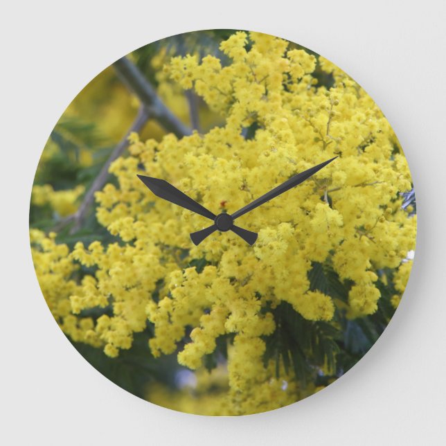 Grande Horloge Ronde Branche de mimosa (Recto)
