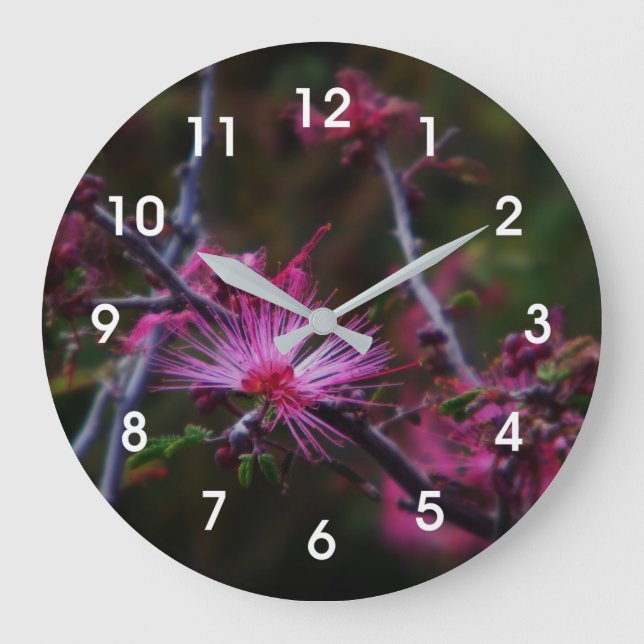 Grande Horloge Ronde Calliandra à feuilles soyeuses (Recto)
