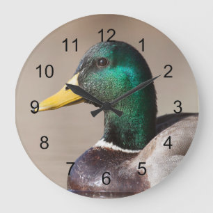 Grande Horloge Ronde Canard colvert