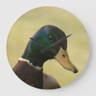 Grande Horloge Ronde Canard de Mallard