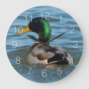Grande Horloge Ronde Canard de Mallard