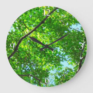 Grande Horloge Ronde Canopée verte, Branches feuillues avec ciel bleu