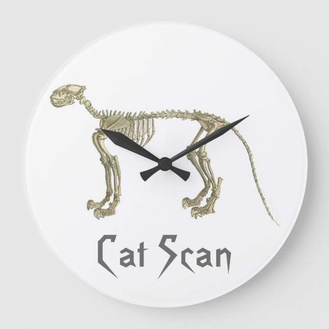Grande Horloge Ronde Cat Scan Skeleton (Recto)