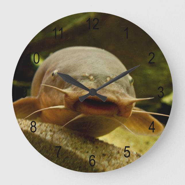 Grande Horloge Ronde Catfish (Recto)