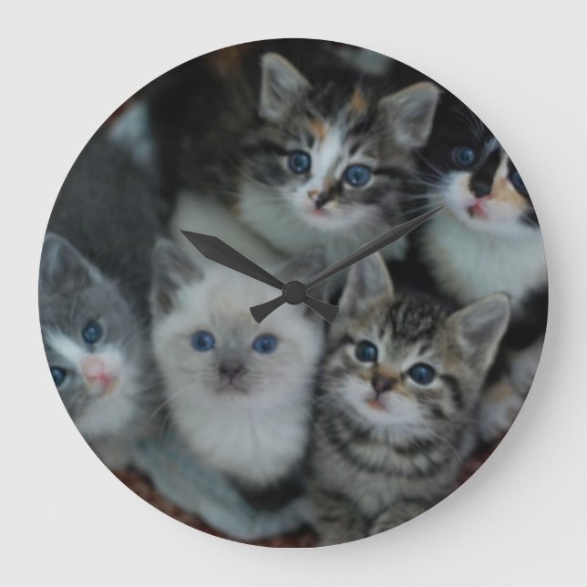 Grande Horloge Ronde Chatons dans un panier (Recto)