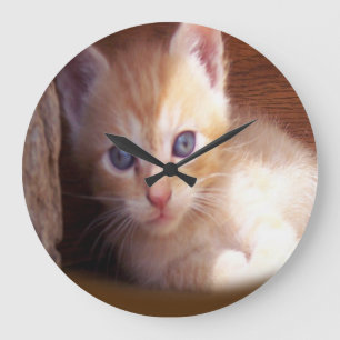 Grande Horloge Ronde Chats