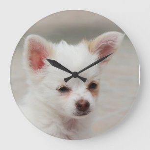 Grande Horloge Ronde Chihuahua chippy dans un jardin