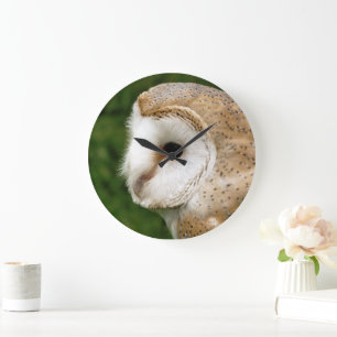 GRANDE HORLOGE RONDE CHOUETTES EFFRAIES