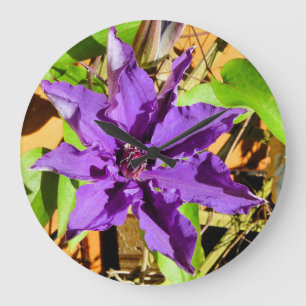 GRANDE HORLOGE RONDE CLEMATIS