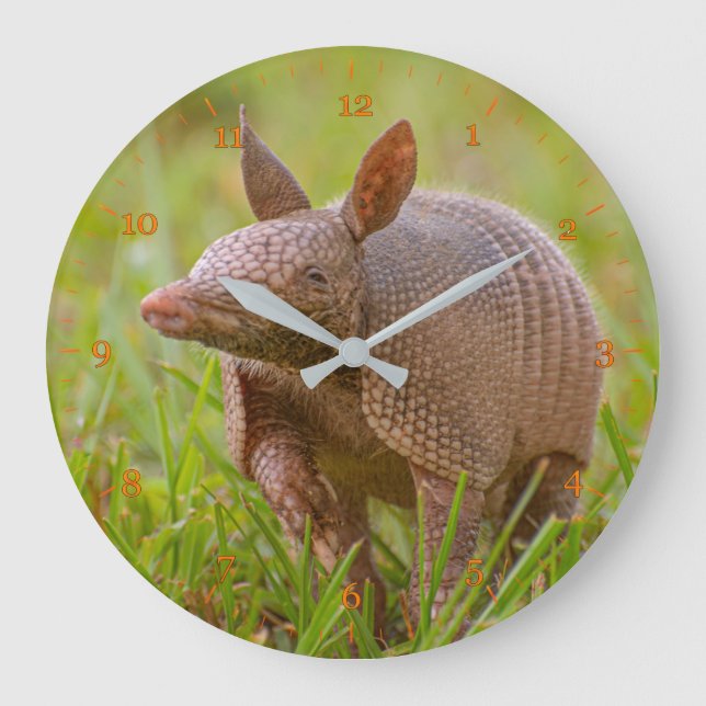 Grande Horloge Ronde Close-up de Floride (Recto)
