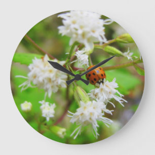 Grande Horloge Ronde Coccinelle