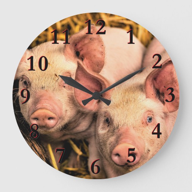 Grande Horloge Ronde Cochons (Recto)