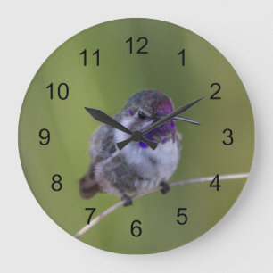 Grande Horloge Ronde Colibri de Costa en août léger