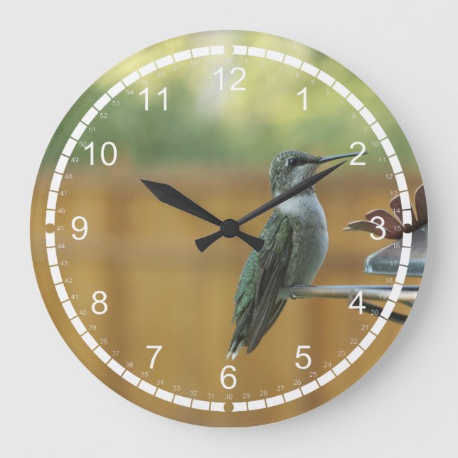 Grande Horloge Ronde Colibri Throated rouge (Recto)