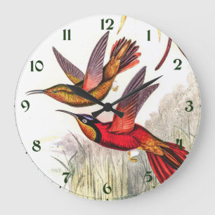 Grande Horloge Ronde Colibri vintage par John Gould