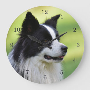 Grande Horloge Ronde Collie Chien noir et blanc