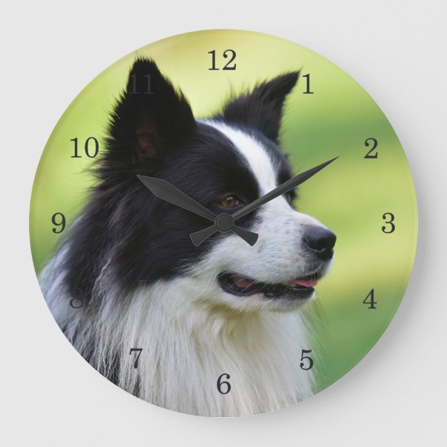 Grande Horloge Ronde Collie Chien noir et blanc (Recto)