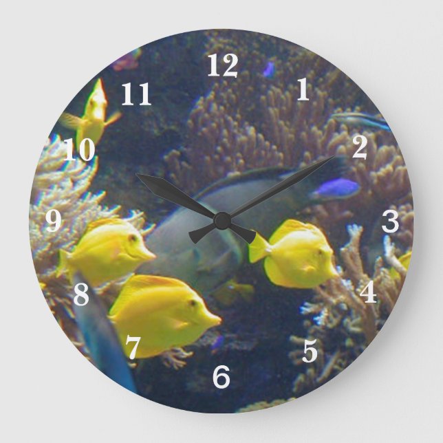 Grande Horloge Ronde Coral reef fish (Recto)