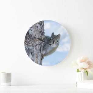 Grande Horloge Ronde Curious Squirrel, Canadian Animal Photography