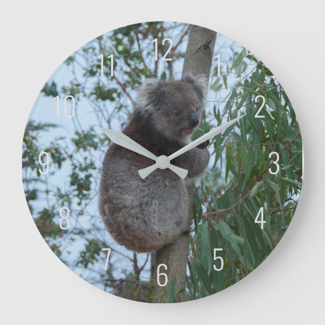 Grande Horloge Ronde Cute Koala Escalade dans un arbre Australie (Recto)