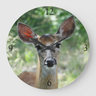 Grande Horloge Ronde D33 Cerf à queue blanche femelle