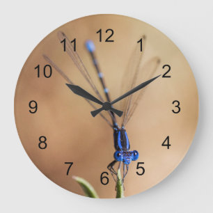 Grande Horloge Ronde Danse du Damselfly