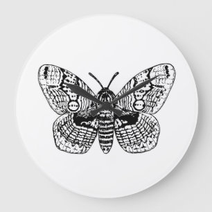 Grande Horloge Ronde Dessin Brahmin moth